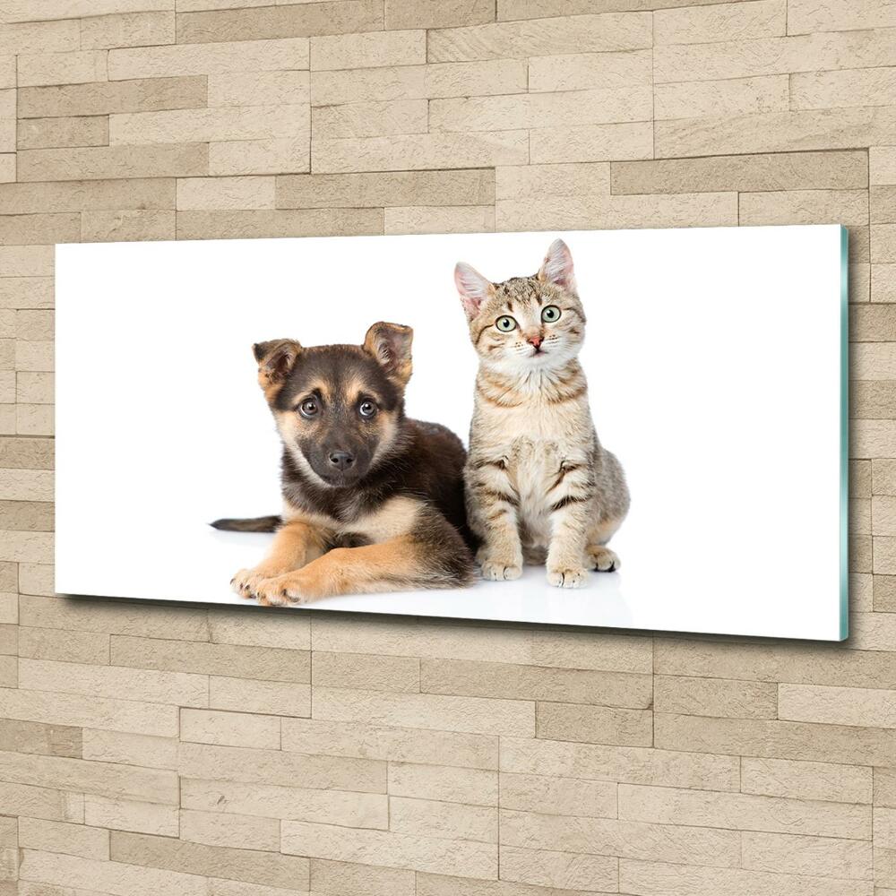 Tableau en verre Chien et chat