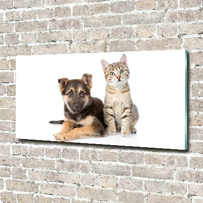 Tableau en verre Chien et chat