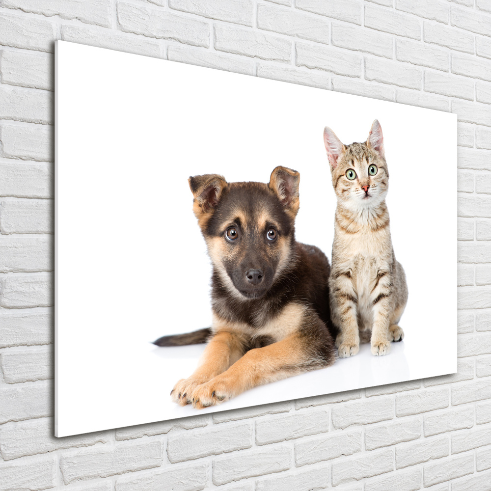 Tableau en verre Chien et chat