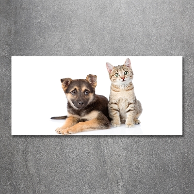 Tableau en verre Chien et chat