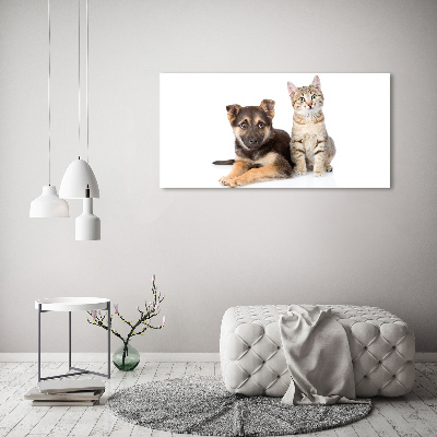 Tableau en verre Chien et chat