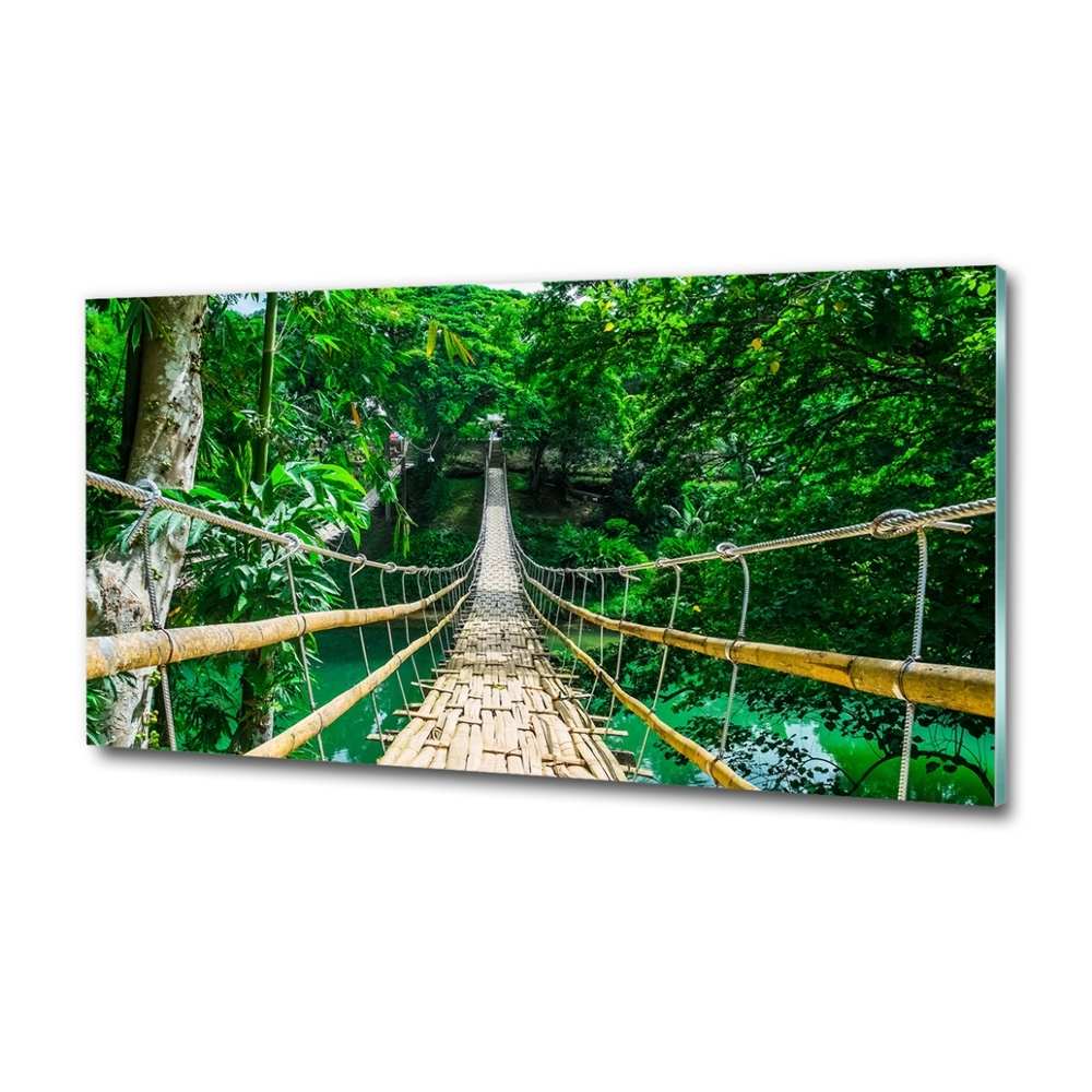 Tableau photo sur verre Pont de la forêt tropicale