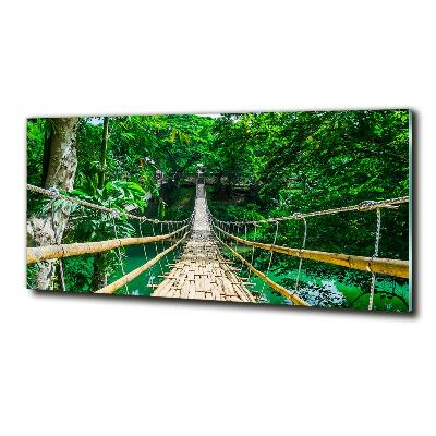 Tableau photo sur verre Pont de la forêt tropicale