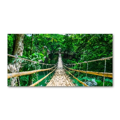 Tableau photo sur verre Pont de la forêt tropicale