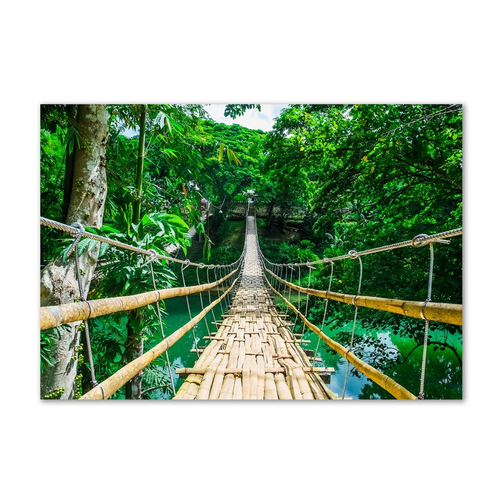 Tableau photo sur verre Pont de la forêt tropicale