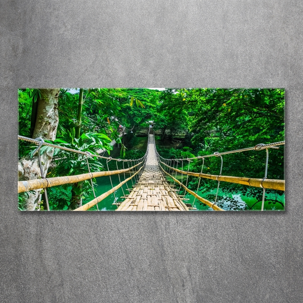 Tableau photo sur verre Pont de la forêt tropicale