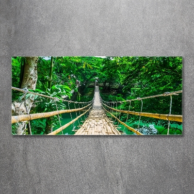 Tableau photo sur verre Pont de la forêt tropicale