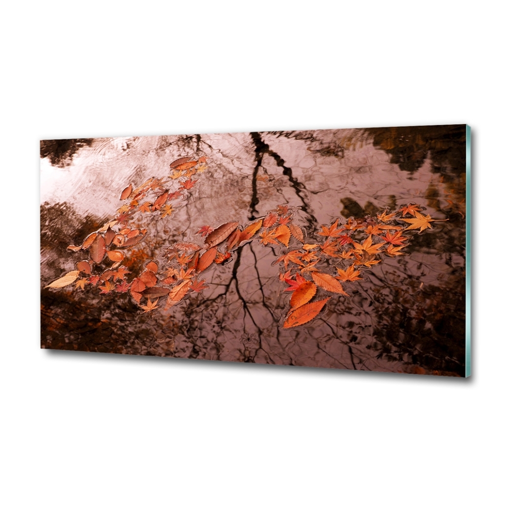 Tableau sur verre Feuilles sur l'eau