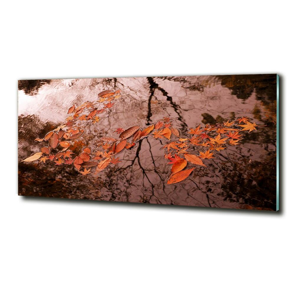 Tableau sur verre Feuilles sur l'eau