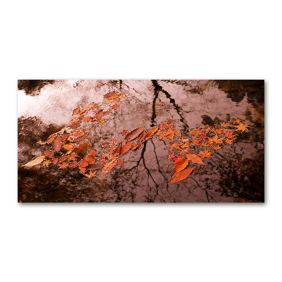 Tableau sur verre Feuilles sur l'eau