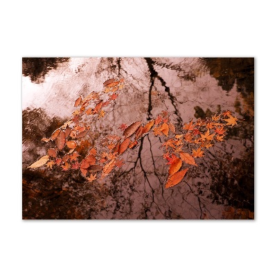 Tableau sur verre Feuilles sur l'eau