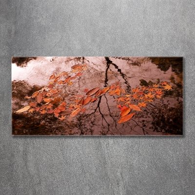 Tableau sur verre Feuilles sur l'eau