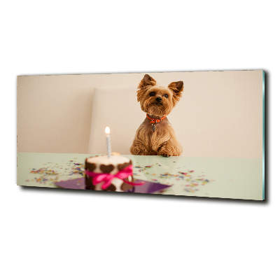 Tableau photo sur verre Chien avec un gâteau