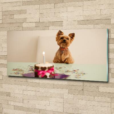 Tableau photo sur verre Chien avec un gâteau