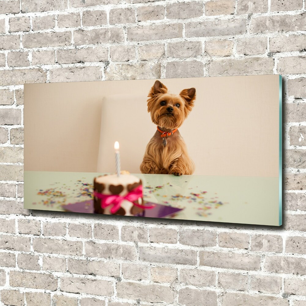 Tableau photo sur verre Chien avec un gâteau