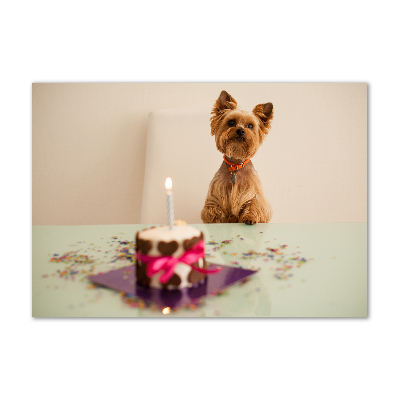 Tableau photo sur verre Chien avec un gâteau