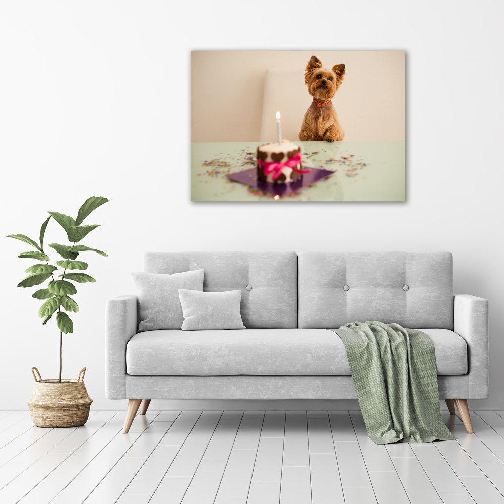 Tableau photo sur verre Chien avec un gâteau