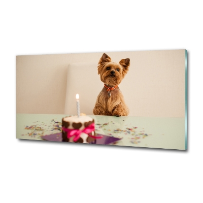 Tableau photo sur verre Chien avec un gâteau