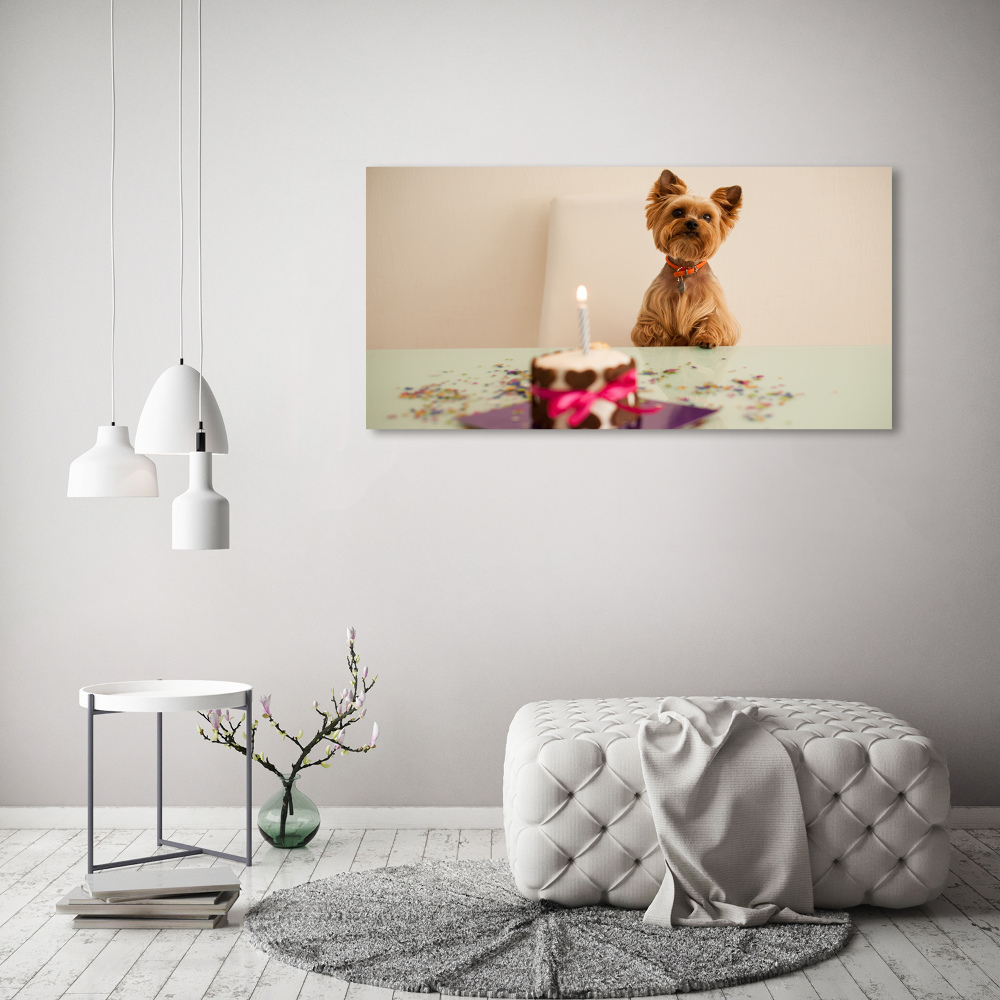 Tableau photo sur verre Chien avec un gâteau