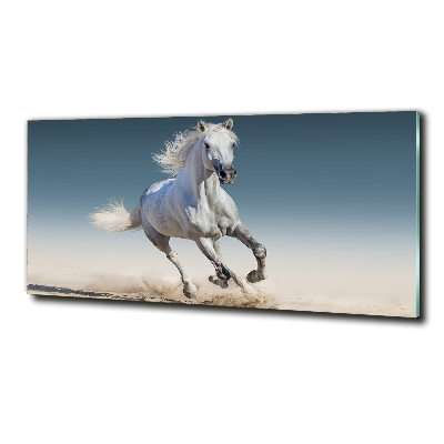 Tableau verre imprimé Cheval blanc au galop