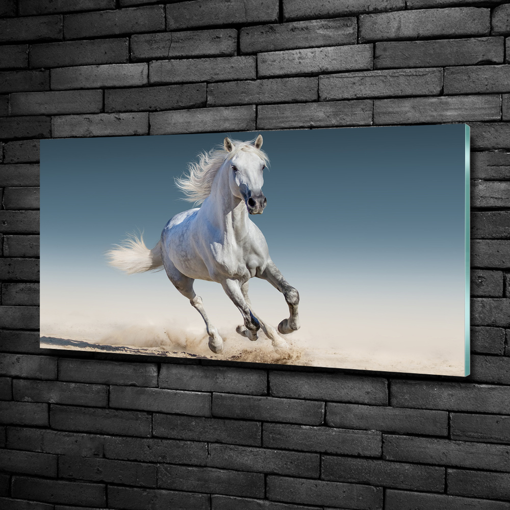 Tableau verre imprimé Cheval blanc au galop