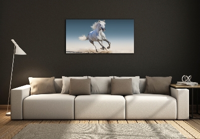 Tableau verre imprimé Cheval blanc au galop