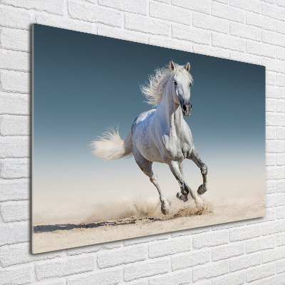 Tableau verre imprimé Cheval blanc au galop