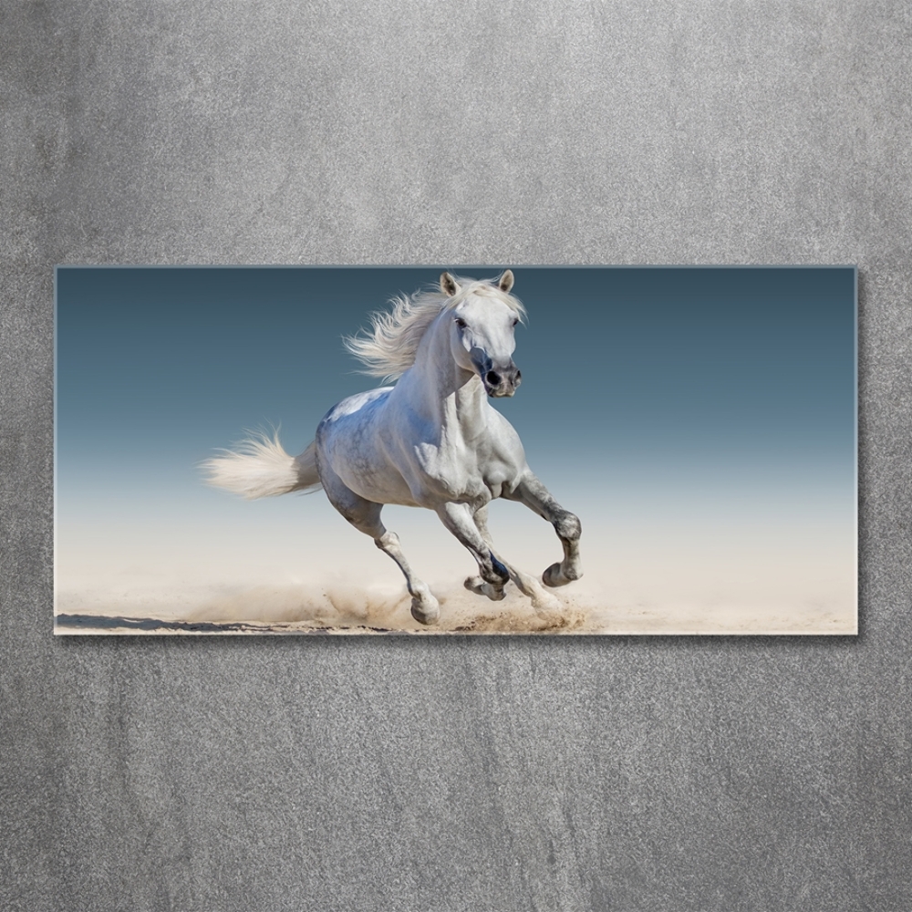 Tableau verre imprimé Cheval blanc au galop