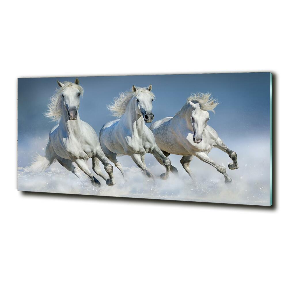 Tableau verre imprimé Chevaux de marche