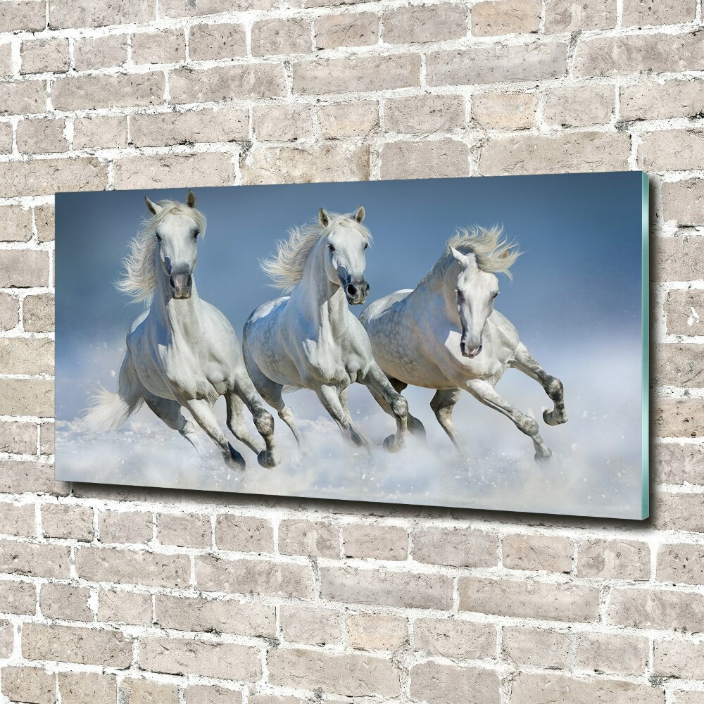 Tableau verre imprimé Chevaux de marche