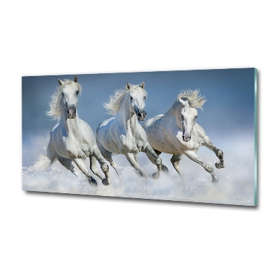 Tableau verre imprimé Chevaux de marche