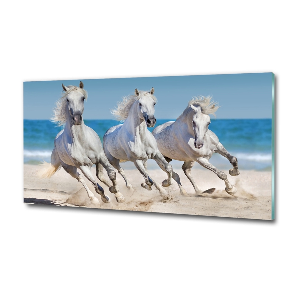 Tableau imprimé sur verre Plage de chevaux blancs