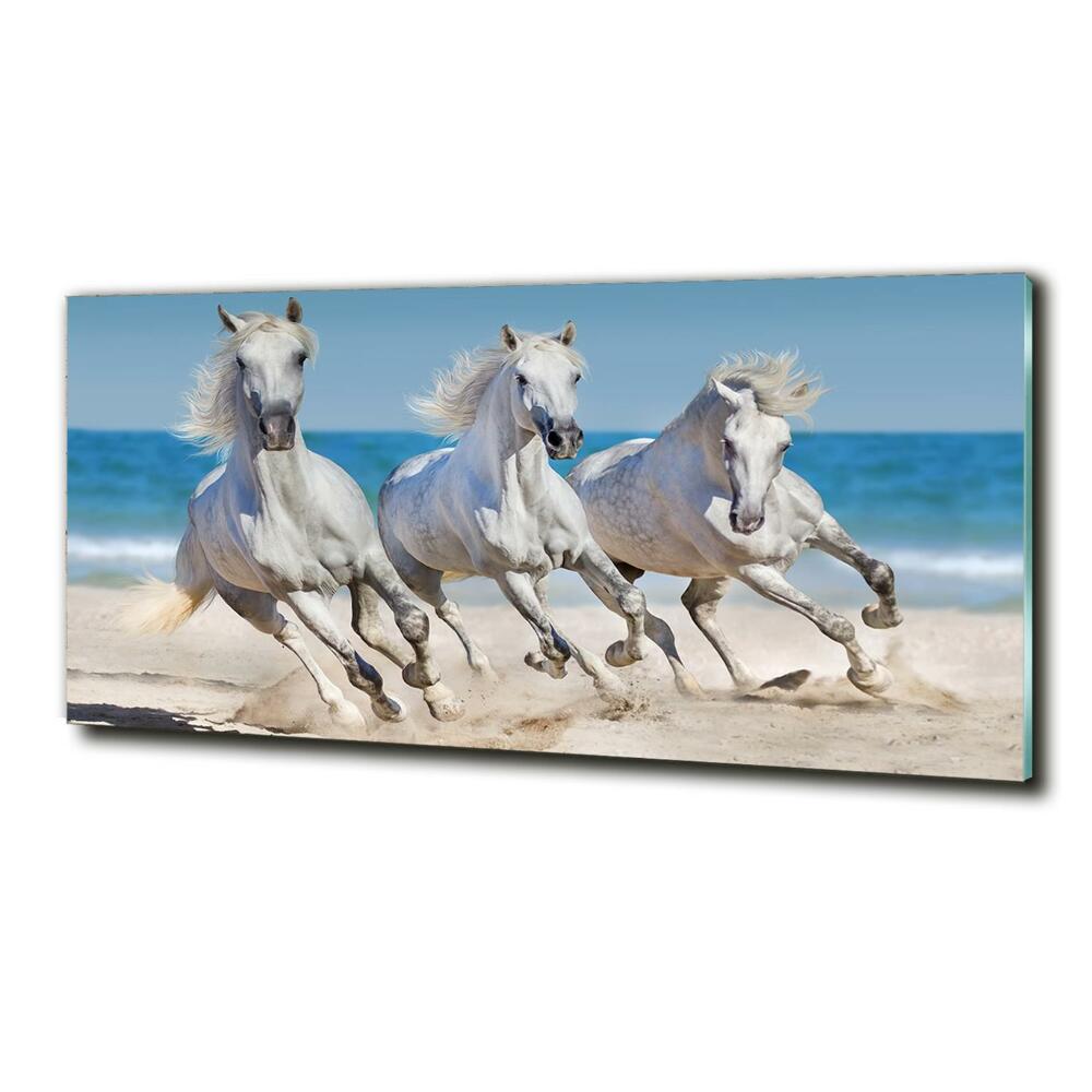 Tableau imprimé sur verre Plage de chevaux blancs