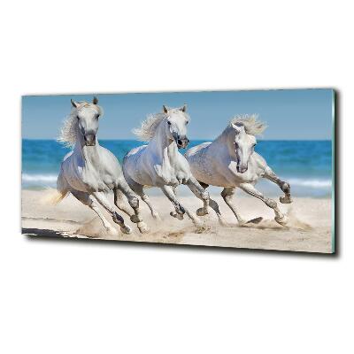 Tableau imprimé sur verre Plage de chevaux blancs