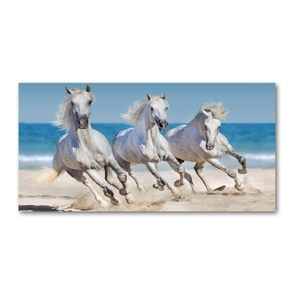 Tableau imprimé sur verre Plage de chevaux blancs