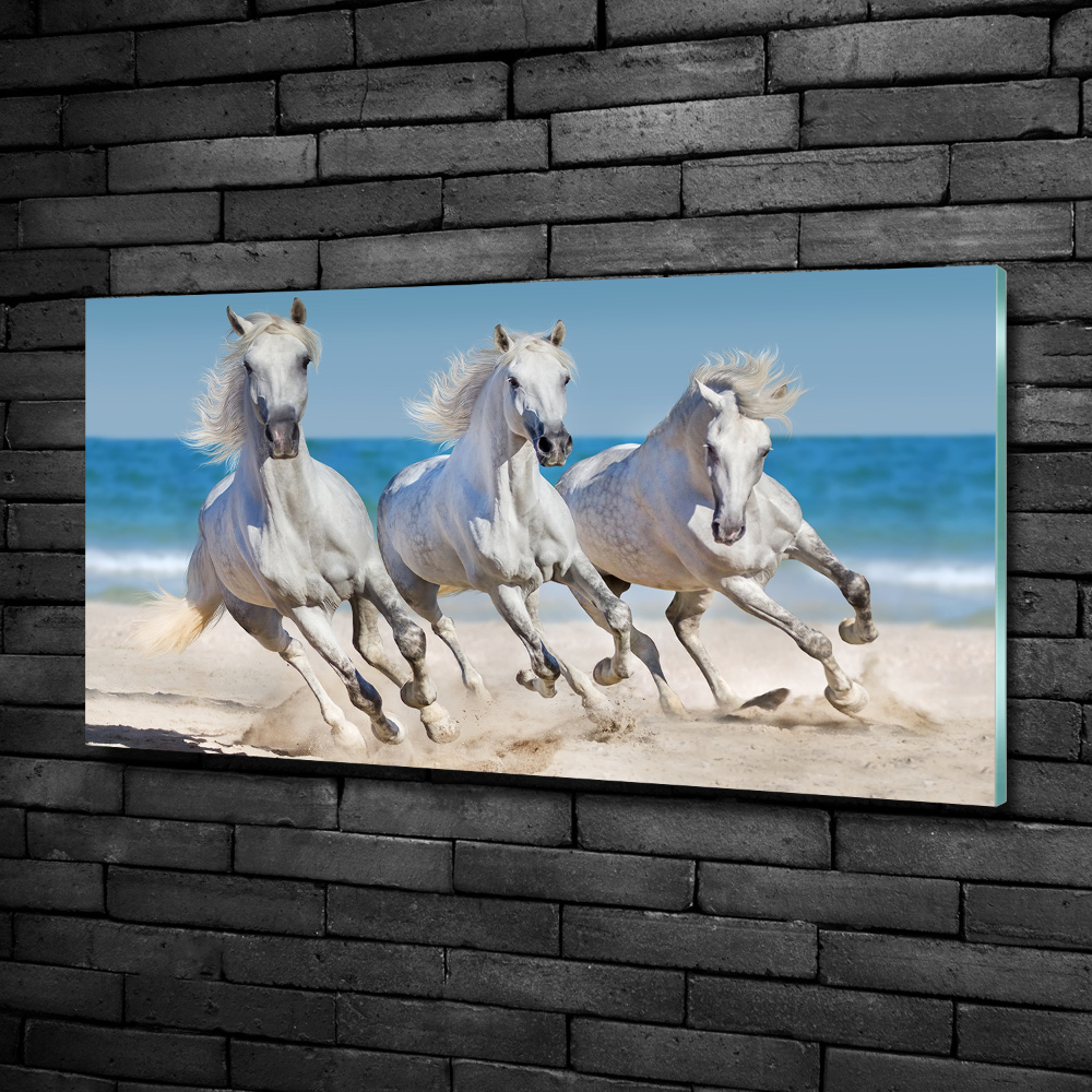 Tableau imprimé sur verre Plage de chevaux blancs