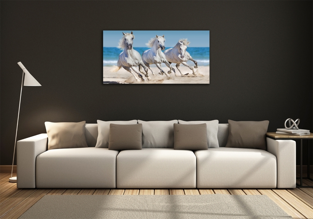 Tableau imprimé sur verre Plage de chevaux blancs