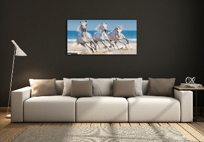 Tableau imprimé sur verre Plage de chevaux blancs