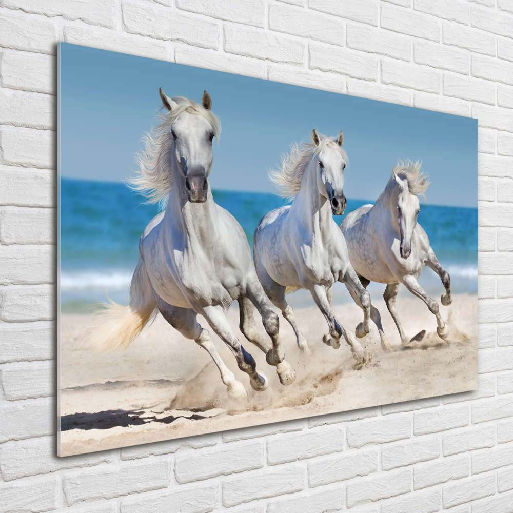 Tableau imprimé sur verre Plage de chevaux blancs