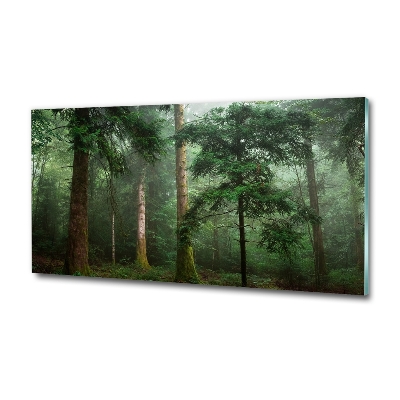 Tableau photo sur verre Brume dans la forêt