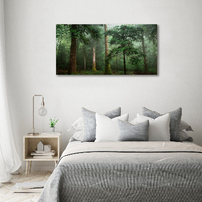 Tableau photo sur verre Brume dans la forêt