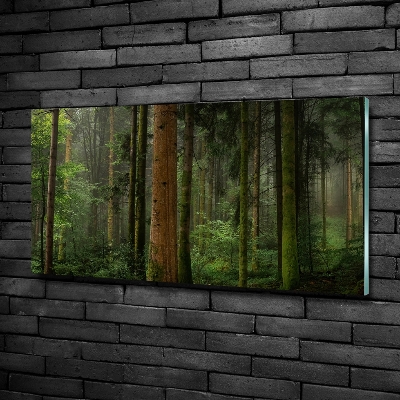 Tableau en verre Le brouillard dans la forêt