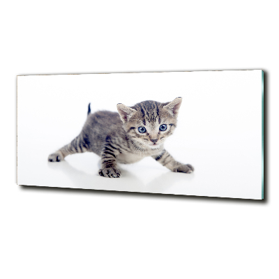 Tableau en verre Petit chat