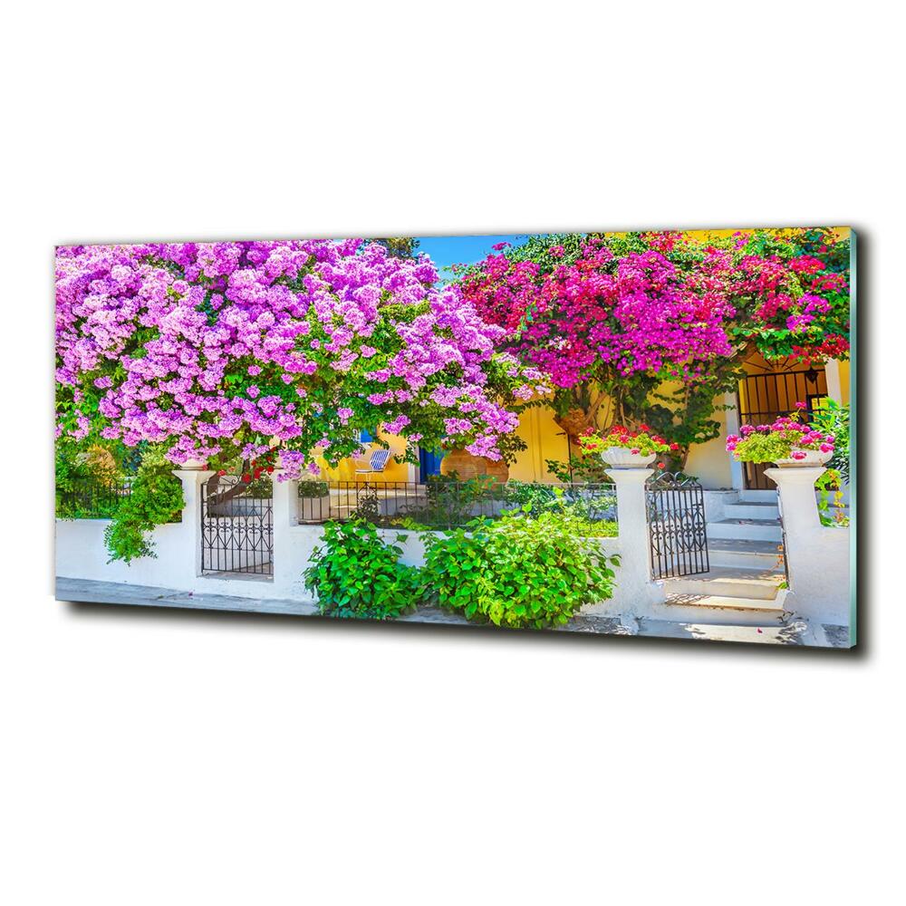 Tableau photo sur verre Maison avec bougainvilliers