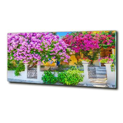 Tableau photo sur verre Maison avec bougainvilliers