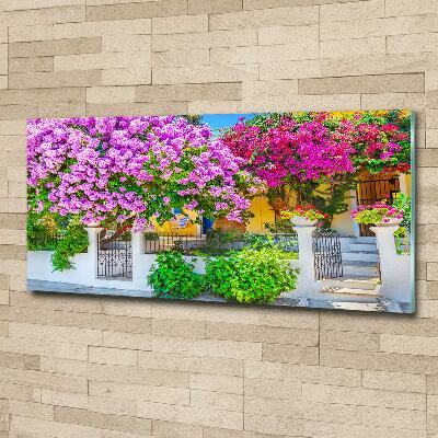 Tableau photo sur verre Maison avec bougainvilliers