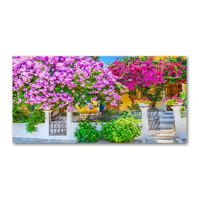 Tableau photo sur verre Maison avec bougainvilliers