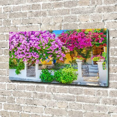 Tableau photo sur verre Maison avec bougainvilliers