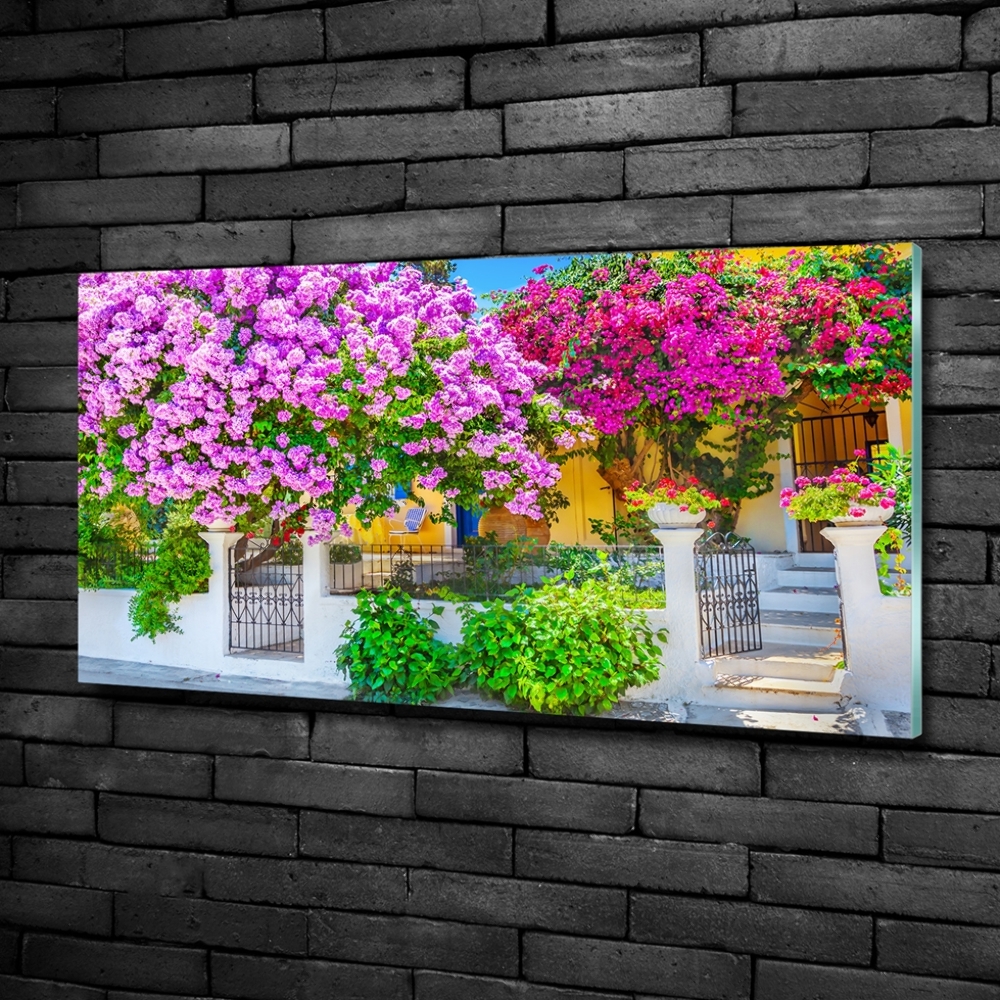 Tableau photo sur verre Maison avec bougainvilliers