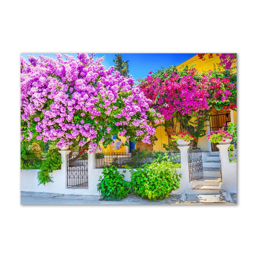 Tableau photo sur verre Maison avec bougainvilliers